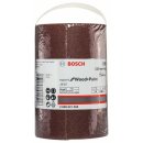 Bosch Schleifrolle J450 Expert for Wood and Paint, 115 mm x 5 m, 100